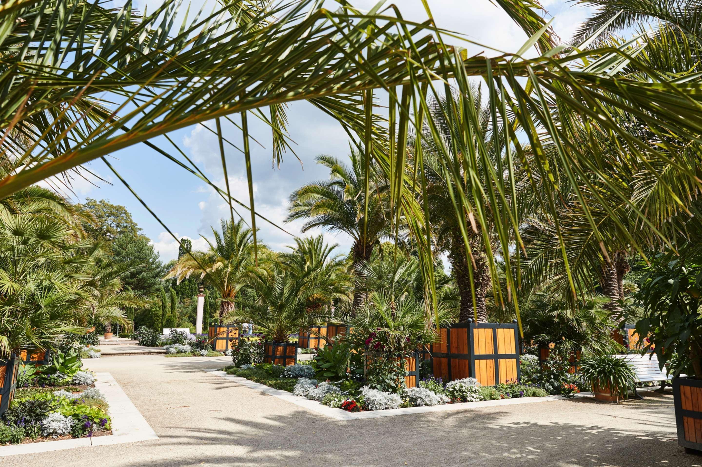 Steigenberger Hotel & Spa Bad Pyrmont Exterior photo The Royal Palm Beach Hotel