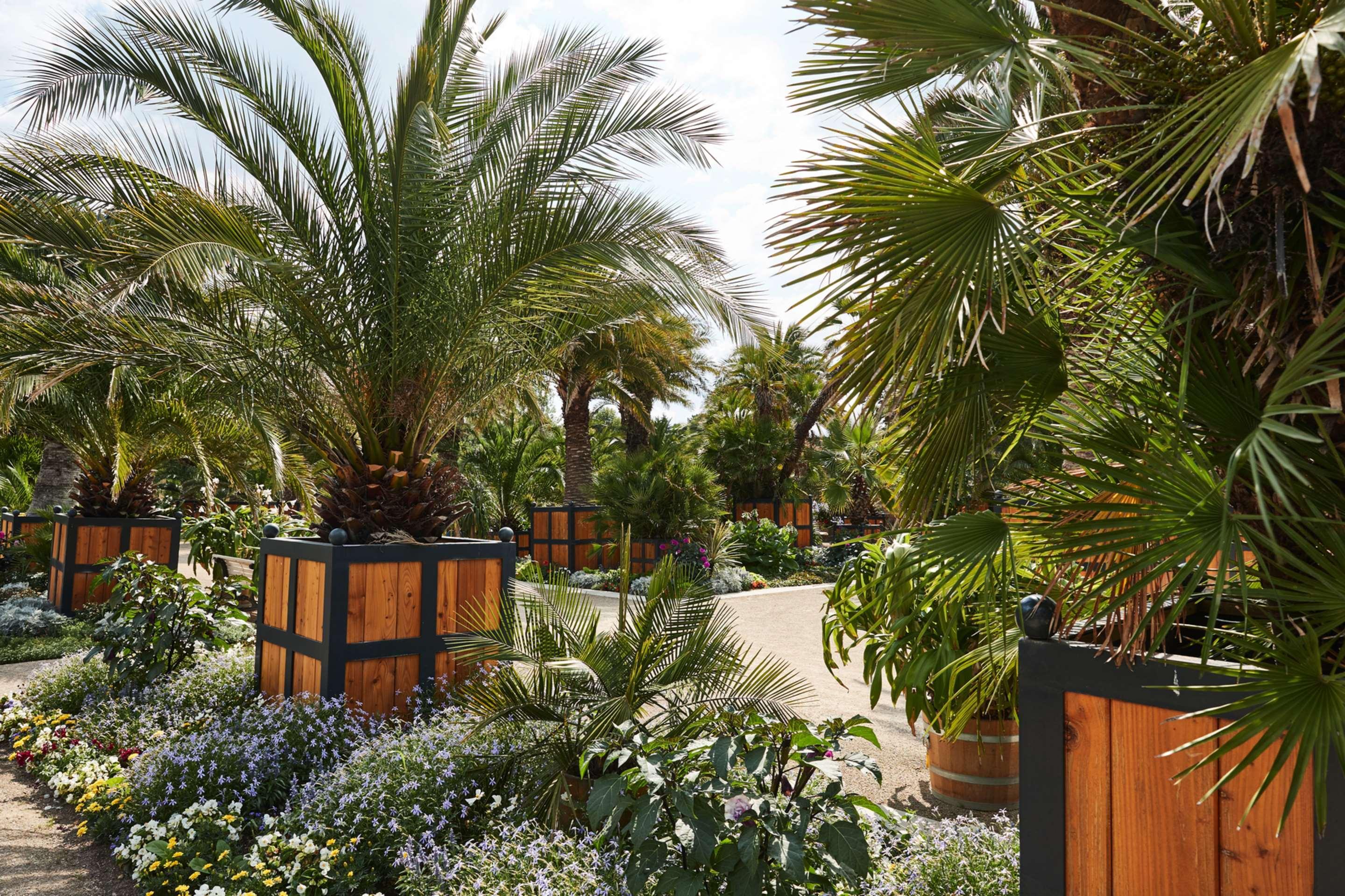 Steigenberger Hotel & Spa Bad Pyrmont Exterior photo The Palm House